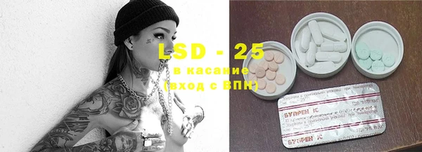 шишки Беломорск