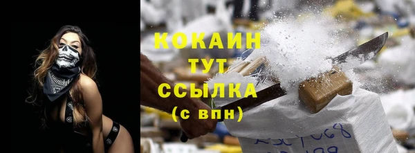 шишки Беломорск