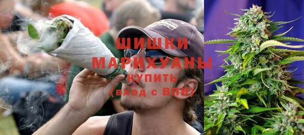 шишки Беломорск