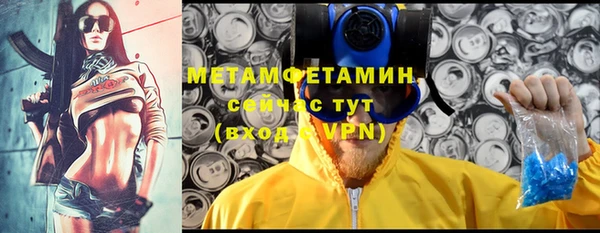 шишки Беломорск