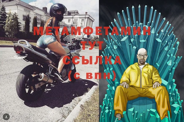 шишки Беломорск