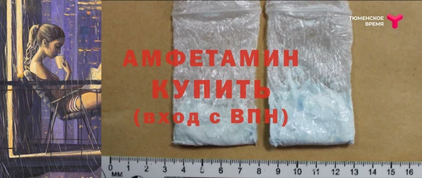 шишки Беломорск