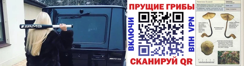 Галлюциногенные грибы MAGIC MUSHROOMS  Эртиль 